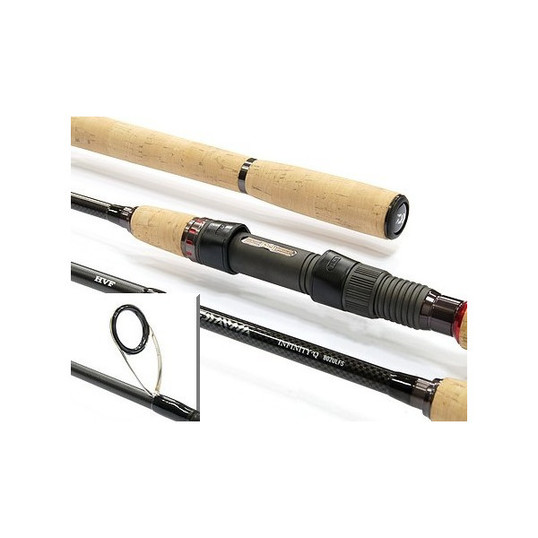 Spinning daiwa infinity q 1